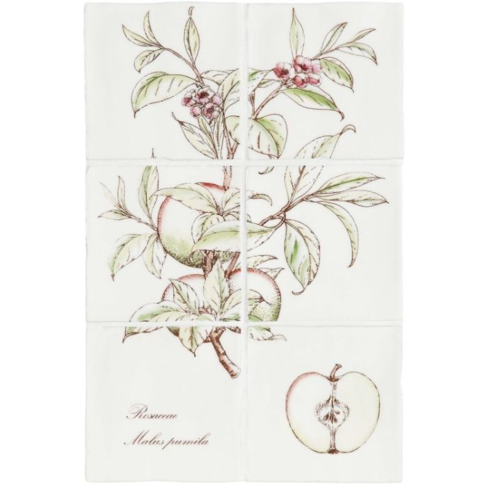 apple fruit kitchen tiles