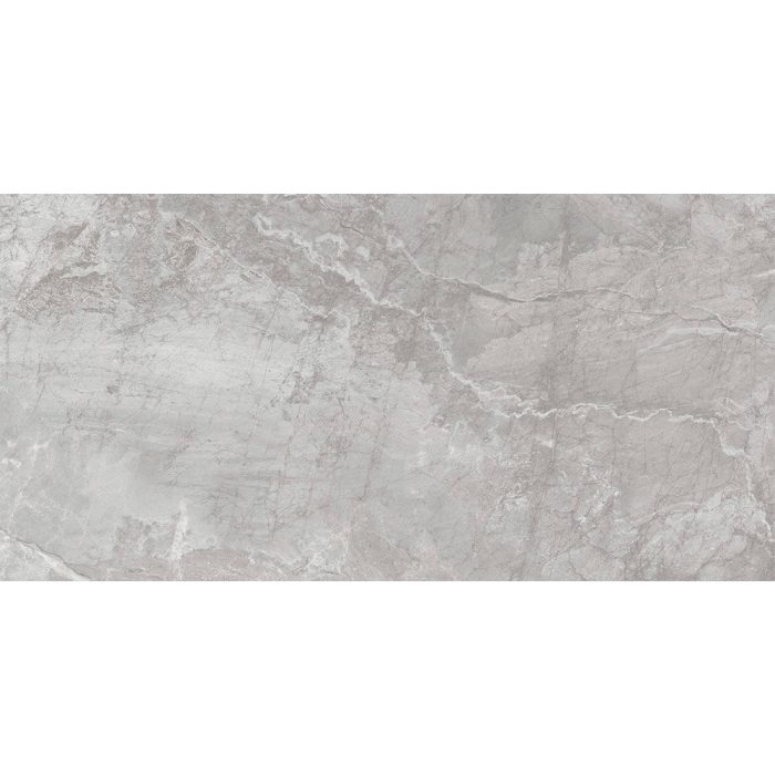 Hugo Grey Matt Ceramic Wall 300x600mm 1